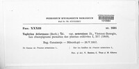 Taphrina deformans image